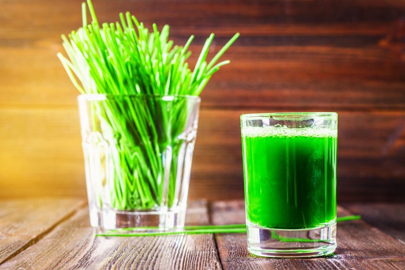 wheatgrass-juice-benefits