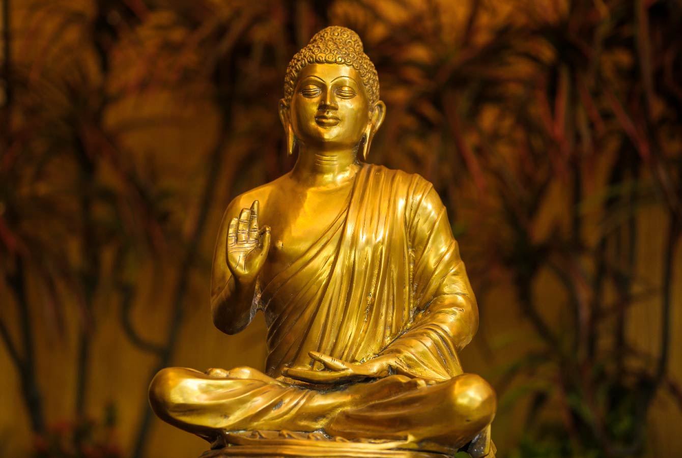 meditation-Buddhism